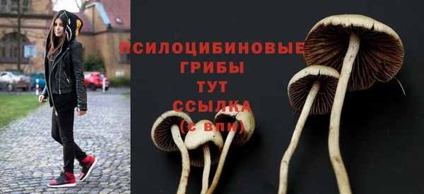 спайс Армянск