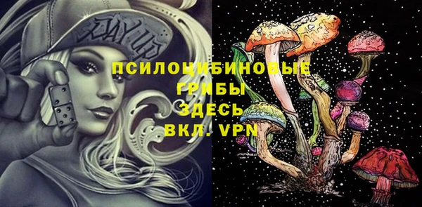 ГАЛЛЮЦИНОГЕННЫЕ ГРИБЫ Аркадак