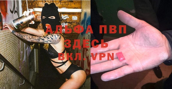 ешки Арсеньев