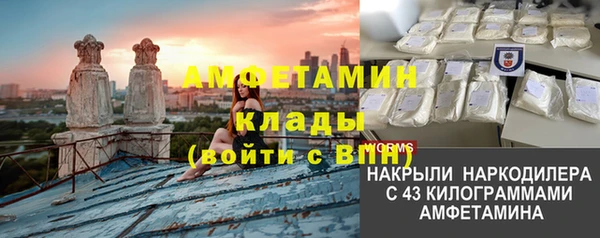 ГАЛЛЮЦИНОГЕННЫЕ ГРИБЫ Аркадак