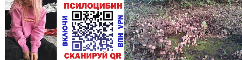 сайты даркнета как зайти  hydra ONION  Белозерск  Галлюциногенные грибы ЛСД 